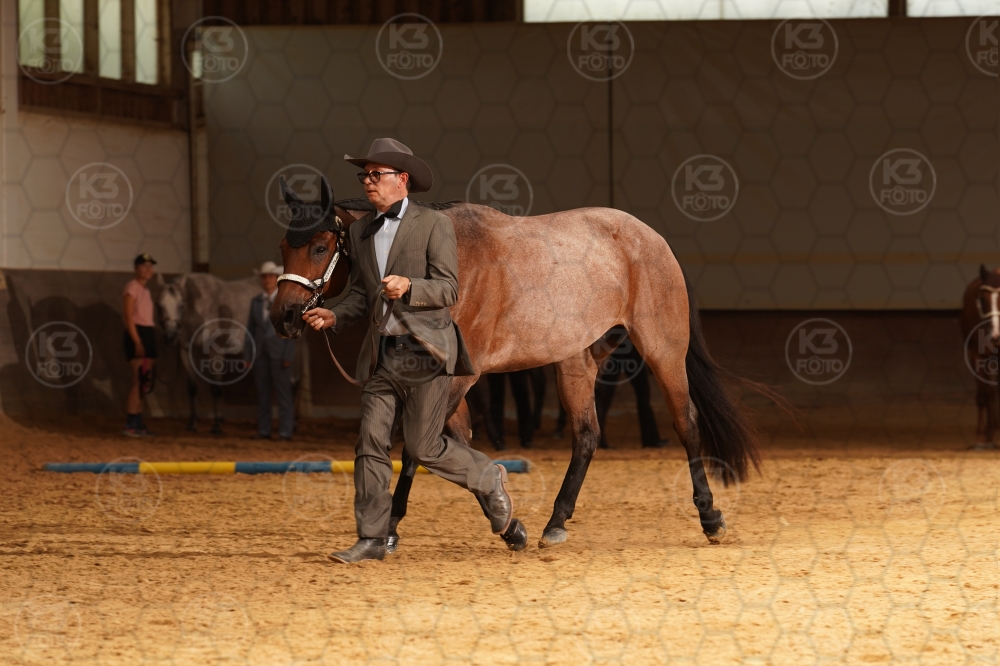 s_A9_08510.jpg